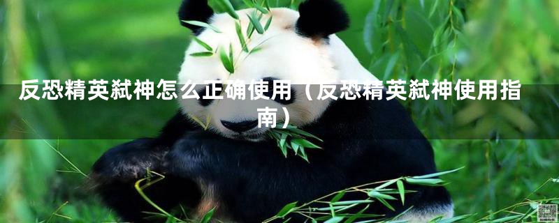 反恐精英弑神怎么正确使用(反恐精英弑神使用指南)