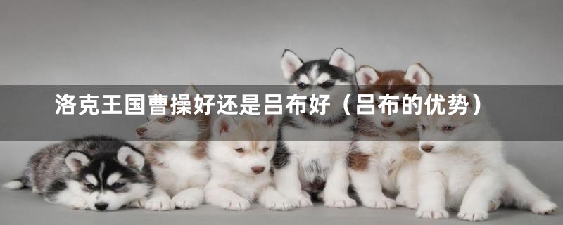 洛克王国曹操好还是吕布好(吕布的优势)