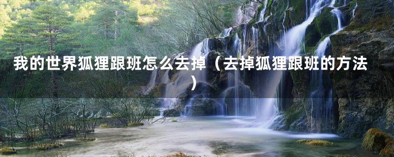 我的世界狐狸跟班怎么去掉(去掉狐狸跟班的方法)