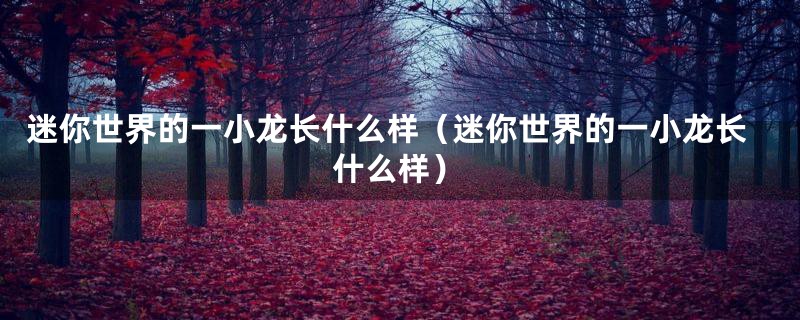 迷你世界的一小龙长什么样(迷你世界的一小龙长什么样)