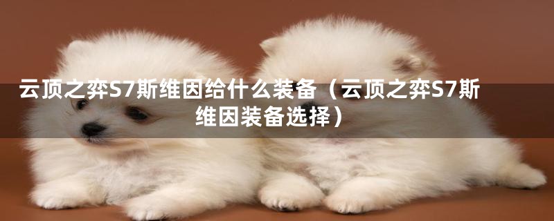 云顶之弈S7斯维因给什么装备（云顶之弈S7斯维因装备选择）