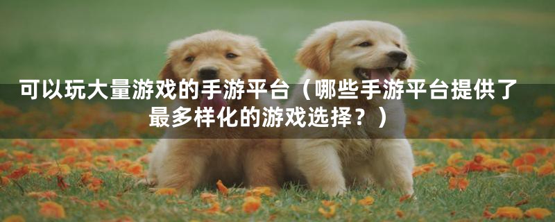 可以玩大量游戏的手游平台(哪些手游平台提供了最多样化的游戏选择?)