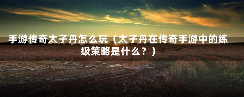 手游传奇太子丹怎么玩(太子丹在传奇手游中的练级策略是什么?)