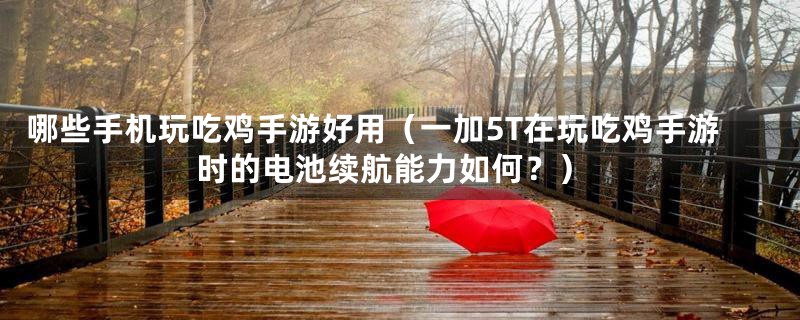 哪些手机玩吃鸡手游好用（一加5T在玩吃鸡手游时的电池续航能力如何？）