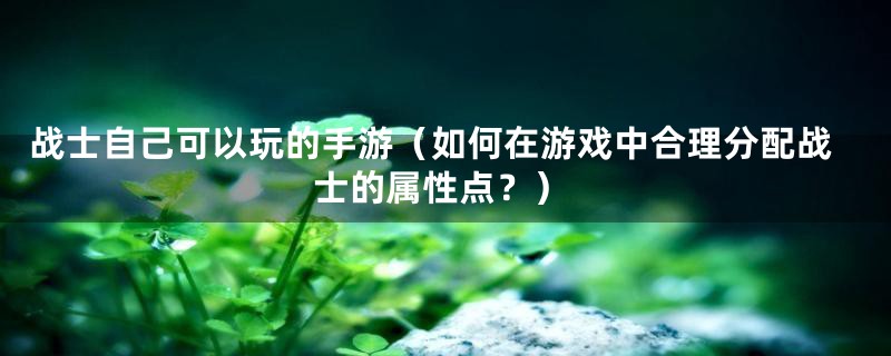 战士自己可以玩的手游（如何在游戏中合理分配战士的属性点？）