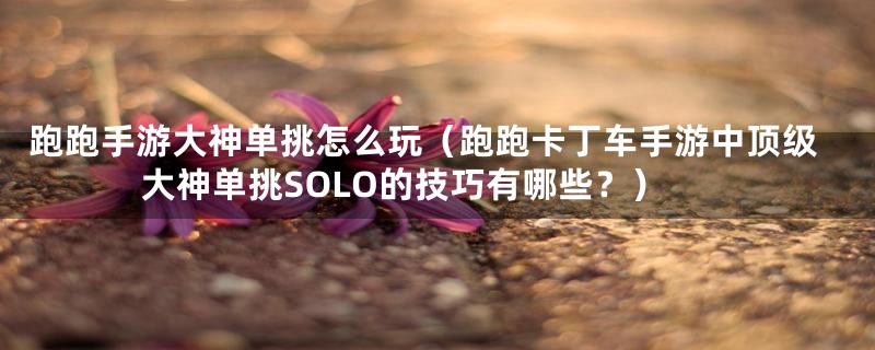 跑跑手游大神单挑怎么玩(跑跑卡丁车手游中顶级大神单挑SOLO的技巧有哪些?)