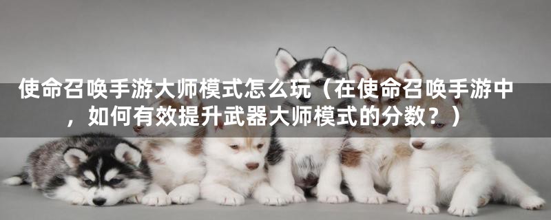 使命召唤手游大师模式怎么玩(在使命召唤手游中,如何有效提升武器大师模式的分数?)