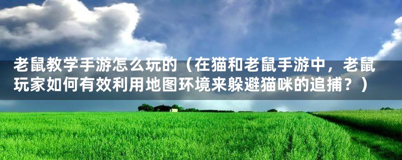 老鼠教学手游怎么玩的(在猫和老鼠手游中,老鼠玩家如何有效利用地图环境来躲避猫咪的追捕?)