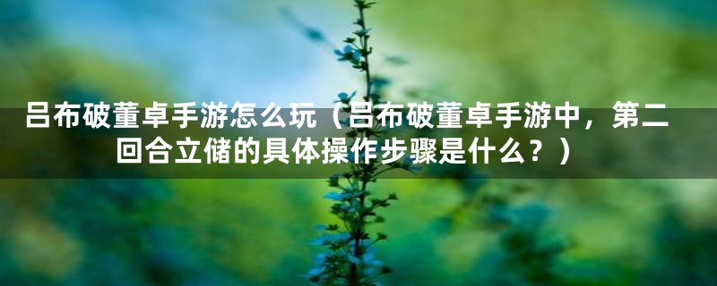吕布破董卓手游怎么玩(吕布破董卓手游中,第二回合立储的具体操作步骤是什么?)