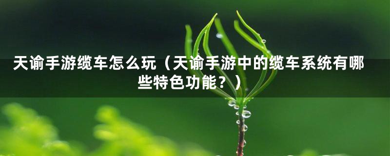 天谕手游缆车怎么玩（天谕手游中的缆车系统有哪些特色功能？）