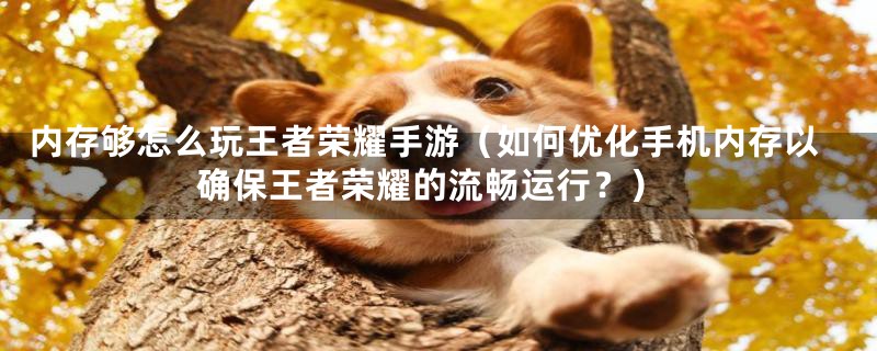 内存够怎么玩王者荣耀手游(如何优化手机内存以确保王者荣耀的流畅运行?)