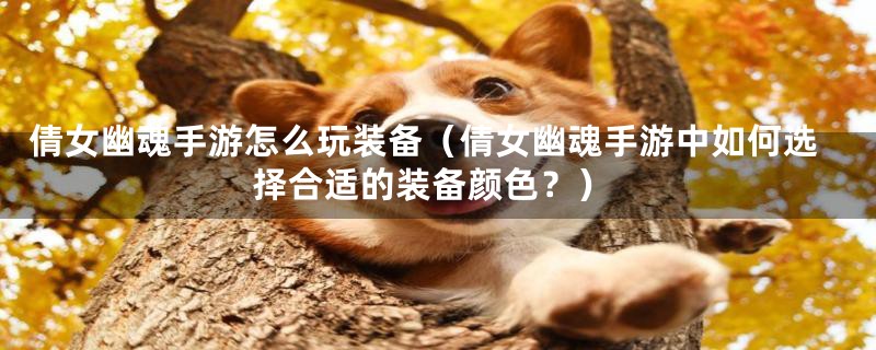 倩女幽魂手游怎么玩装备（倩女幽魂手游中如何选择合适的装备颜色？）