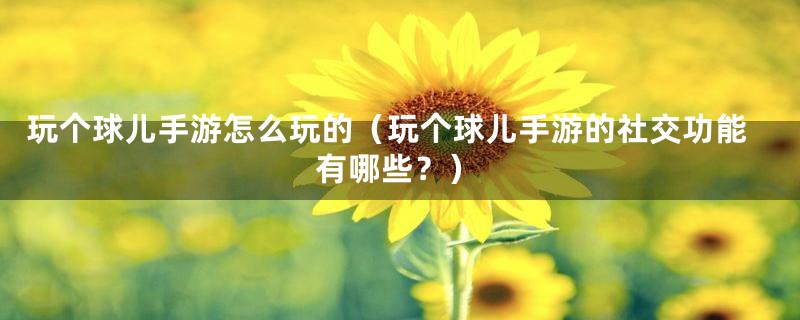 玩个球儿手游怎么玩的(玩个球儿手游的社交功能有哪些?)