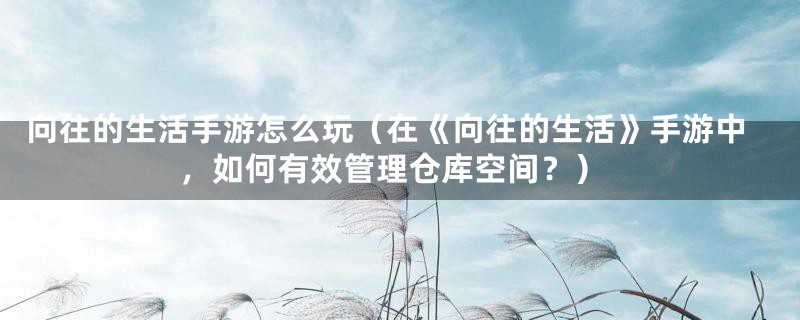 向往的生活手游怎么玩(在《向往的生活》手游中,如何有效管理仓库空间?)