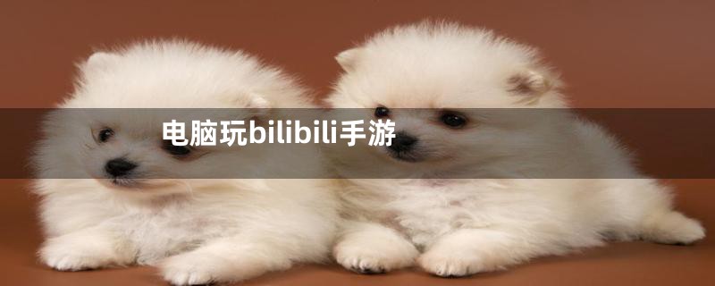电脑玩bilibili手游