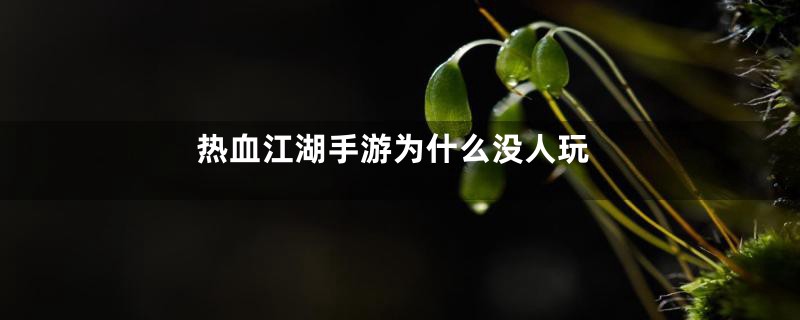 热血江湖手游为什么没人玩