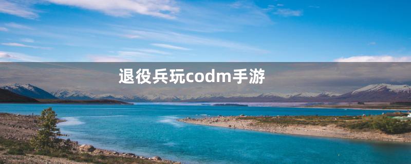 退役兵玩codm手游