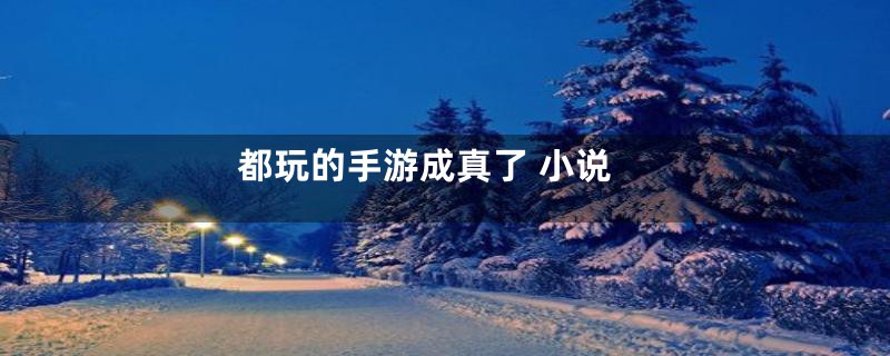 都玩的手游成真了 小说