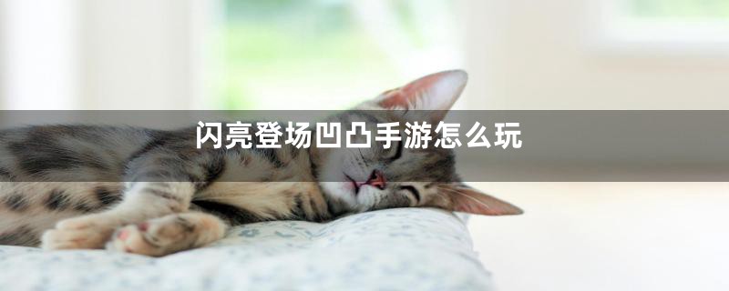 闪亮登场凹凸手游怎么玩
