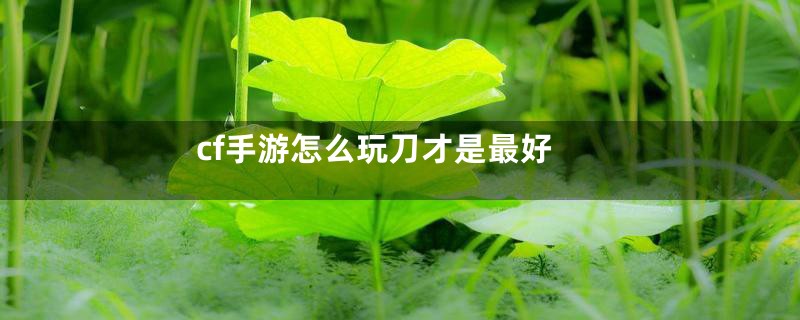 cf手游怎么玩刀才是最好