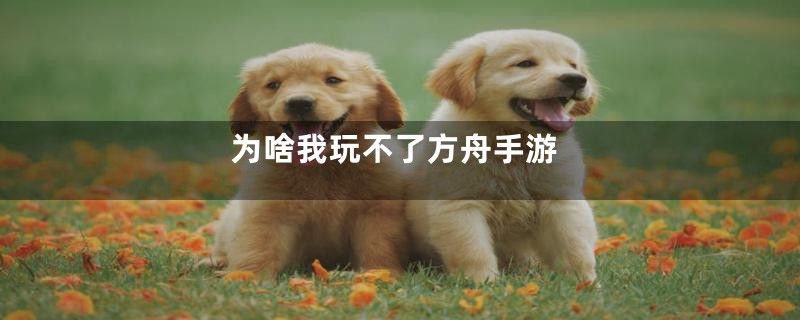 为啥我玩不了方舟手游