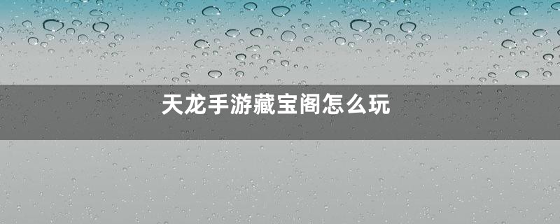 天龙手游藏宝阁怎么玩