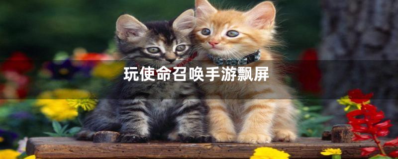 玩使命召唤手游飘屏