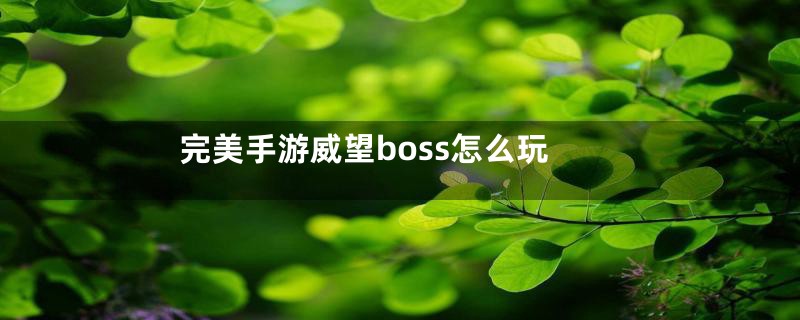 完美手游威望boss怎么玩