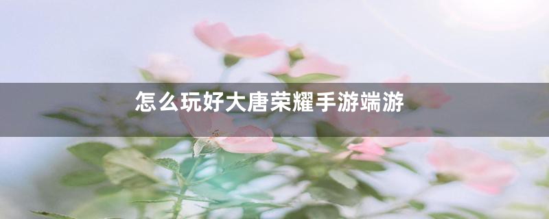 怎么玩好大唐荣耀手游端游
