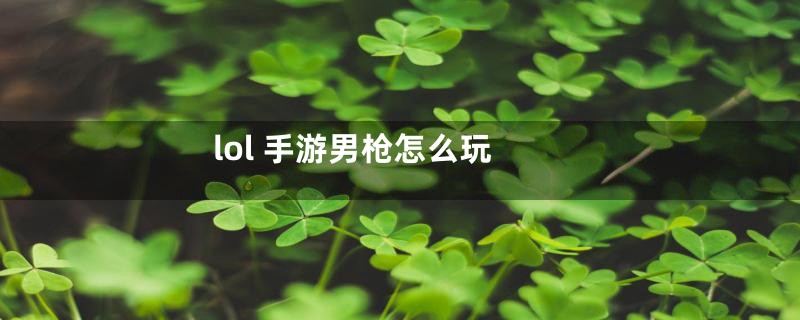 lol 手游男枪怎么玩