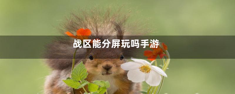战区能分屏玩吗手游