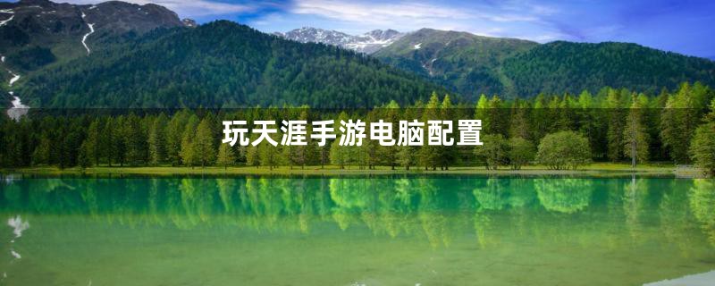 玩天涯手游电脑配置