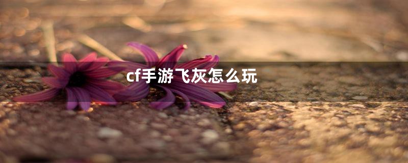cf手游飞灰怎么玩