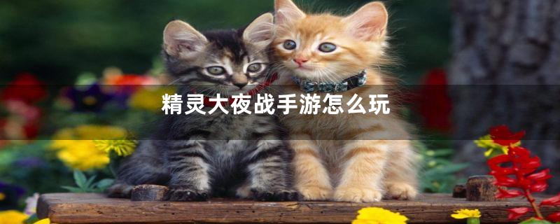 精灵大夜战手游怎么玩