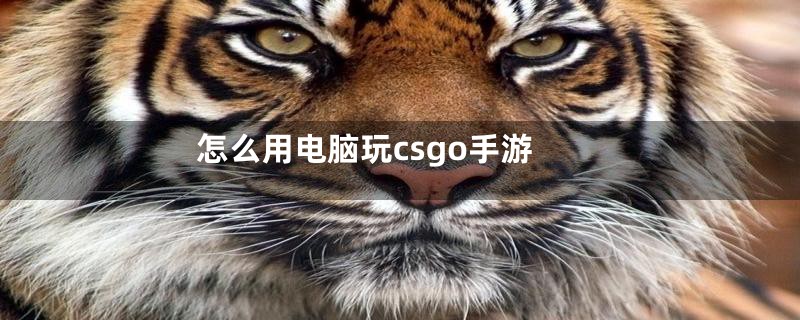怎么用电脑玩csgo手游