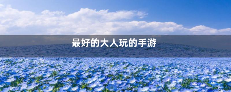 最好的大人玩的手游
