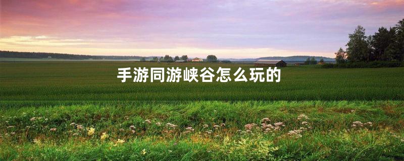手游同游峡谷怎么玩的