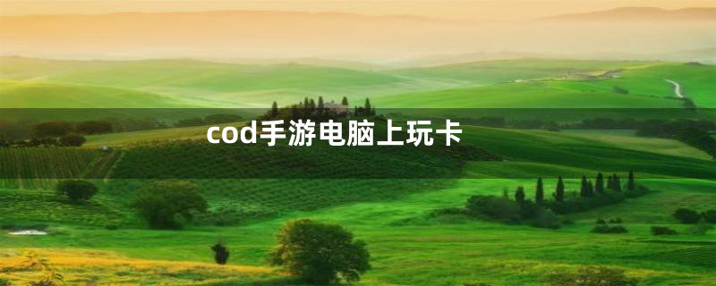 cod手游电脑上玩卡
