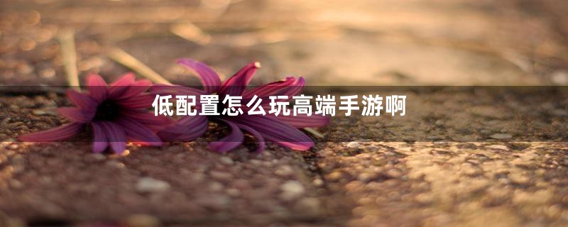 低配置怎么玩高端手游啊