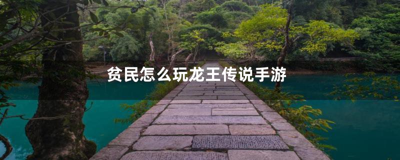 贫民怎么玩龙王传说手游
