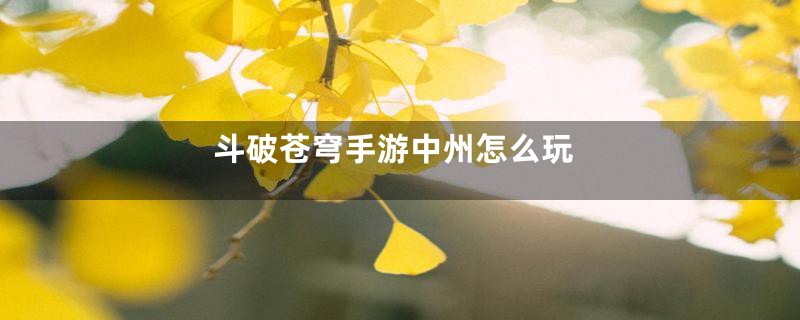 斗破苍穹手游中州怎么玩
