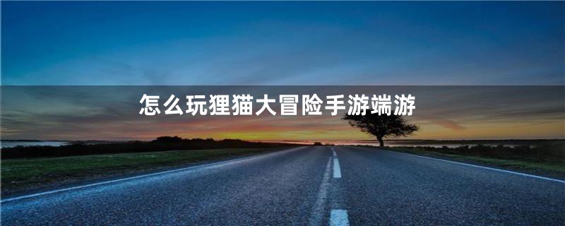 怎么玩狸猫大冒险手游端游