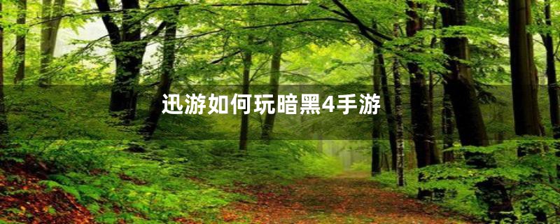 迅游如何玩暗黑4手游