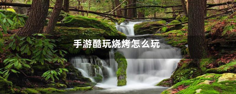手游酷玩烧烤怎么玩
