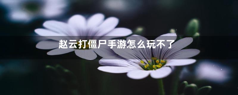 赵云打僵尸手游怎么玩不了