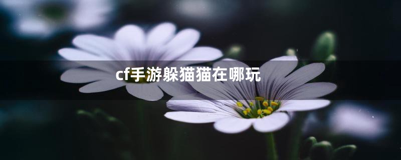 cf手游躲猫猫在哪玩