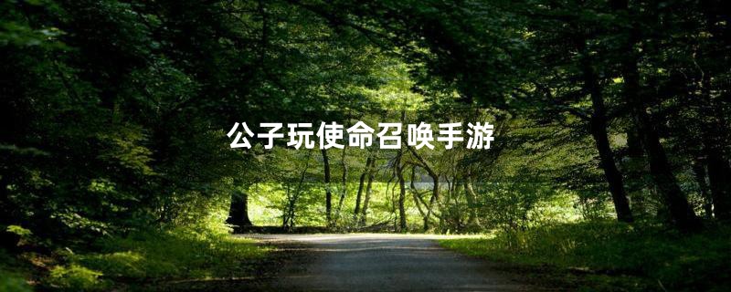 公子玩使命召唤手游