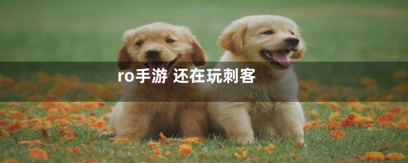 ro手游 还在玩刺客