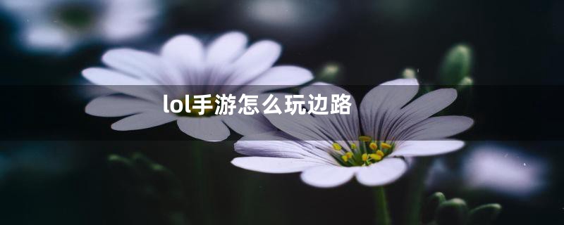 lol手游怎么玩边路