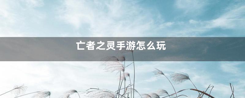 亡者之灵手游怎么玩